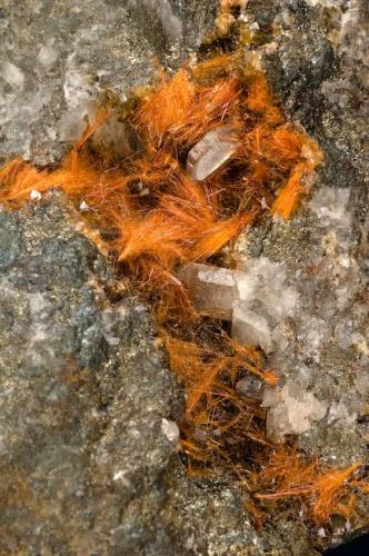 Ludlockite
Tsumeb, Namibia
Size: Cabinet

Specimen: William Pinch Collection
Photo: Jeff Scovil & The RRUFF Project (Author: Pinch Bill)