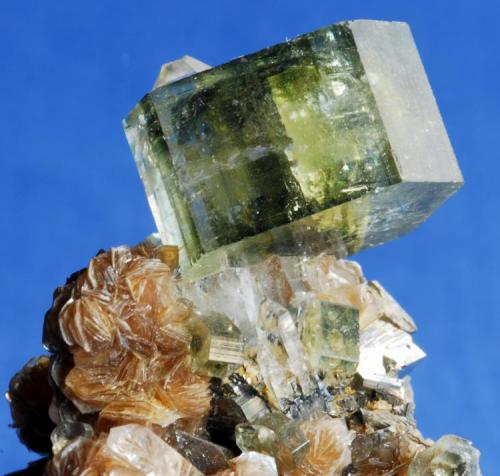 Fluorapatite
Minas de Panasqueira, Barroca Grande, Portugal
Cristal 1,5x 1,5 cm (Author: Enrique Llorens)