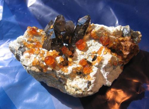 Spessartine (Garnet group)
Wushan, Tongbei, China
9 x 5 x 4 cm. Crystal size : 1 cm
Spessartine or spessartite is manganese aluminium garnet, Mn3Al2(SiO4)3. Its name is derived from Spessart in Bavaria (Author: Leon56)