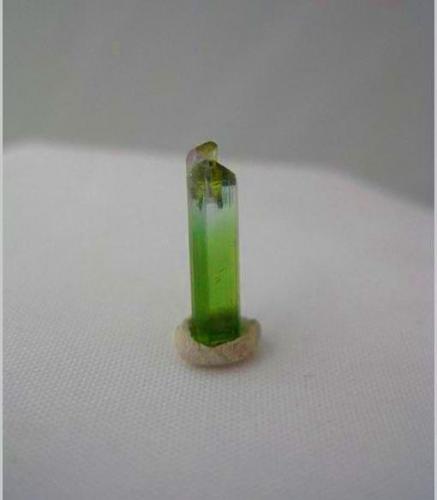 Tourmaline
Paprok, Afghanistan
12 x 4 x 3 mm.
the seller called it water melon tourmaline but it doesnt look like (Author: barbie90)