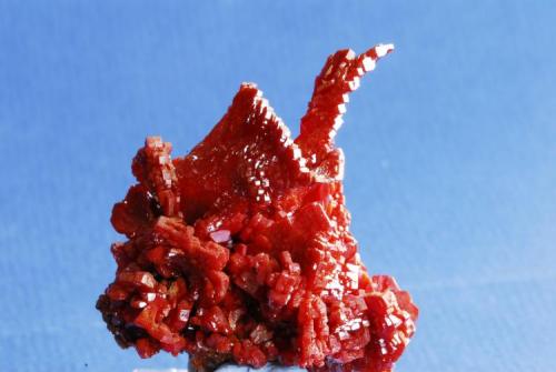 Vanadinite
Mibladen, Morocco
5x6 cm (Author: Enrique Llorens)