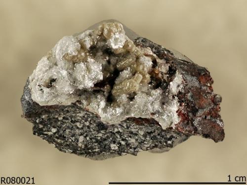 Kegelite with Mimetite
Tsumeb, Namibia
Analyzed by Raman spectroscopy standard

Specimen: William Pinch Collection
Photo: Jeff Scovil & The RRUFF Project (Author: Pinch Bill)