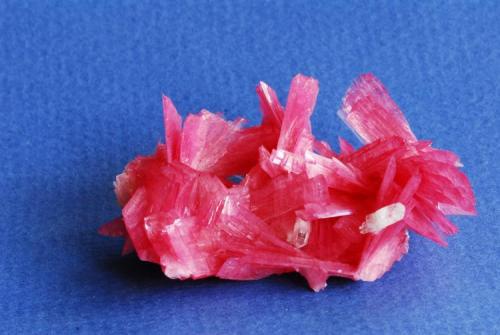 RHODONITE
San Martín Mine, Chiurucu, Peru
6,5x5 cm (Author: Enrique Llorens)