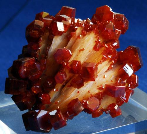 Vanadinite
Mibladen, Midelt, Morocco
5x4 cm. (Author: Enrique Llorens)