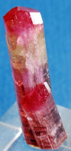 Tourmaline
Cruzeiro Mine, Minas Gerais, Brazil
4,5x1 cm
Present from Mr. Alvaro Lucio (Author: Enrique Llorens)