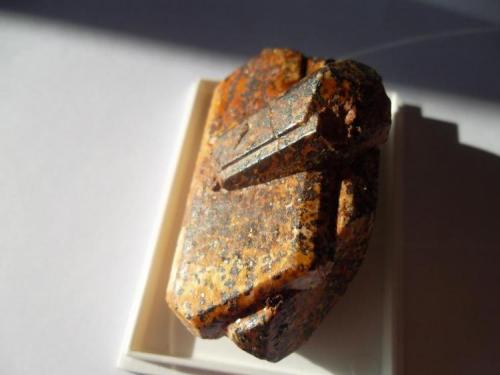 Ortoclasa<br />Cervera de Buitrago, Comarca Sierra Norte, Community of Madrid, Spain<br />5 x 2,5 cm<br /> (Autor: javier ruiz martin)