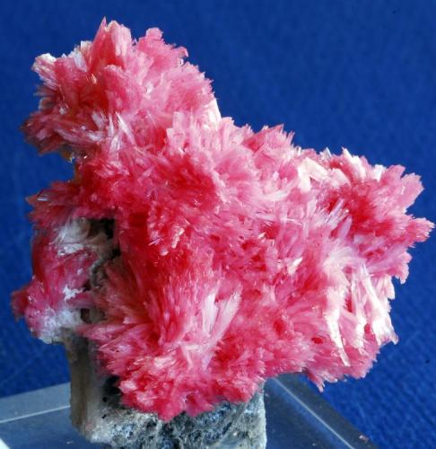 RHODONITE
San Martin Mine, Chiurucu, Huanuco, Peru
5x6 cm (Author: Enrique Llorens)