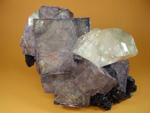 Fluorita-Calcita. Elmwood Mine. 17´5x11 cm. Cubo de 6 cm y Calcita de 8 cm (Autor: geoalfon)