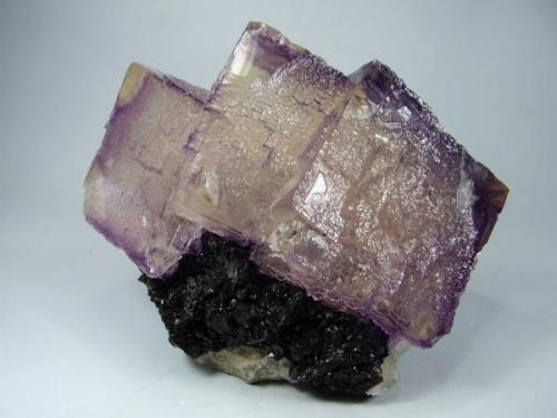 Fluorita-Esfalerita. Elmwood Mine. 15x10 cm. Cubo de 7x6´5 cm (Autor: geoalfon)