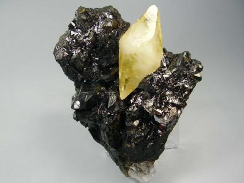 Calcita en Esfalerita. Elmwood Mine, Smith Co, Tennessee, Usa. 8x6´5 cm (Autor: geoalfon)