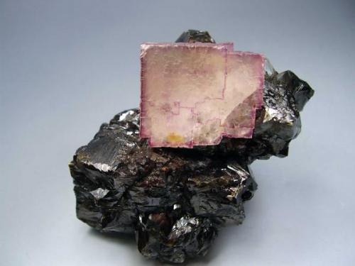 Fluorita en Esfalerita. Elmwood Mine, Smith Co, Tennessee, Usa. 7´5x5´5 cm. Cristal de 3´2 cm (Autor: geoalfon)