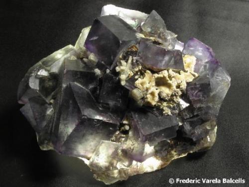 Fluorita, Okoruso (Namibia) 7 x 5,5 x 2,5 cm. Tamaño del cristal mayor 1,6 x 1,4 cm. (Autor: Frederic Varela)