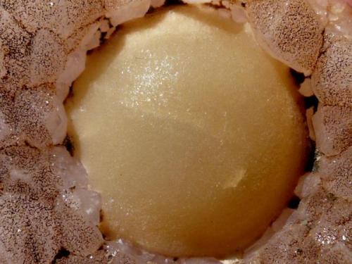 Fluorita sobre cuarzo. Nasik, Maharashtra, India. diámetro: 2,5 cm (Autor: nerofis2)