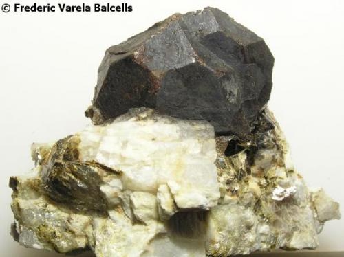 Granate almandino , Castellar del Vallès, Vallès Occidental (Barcelona) Cristal 3,5 x 2 cm. (Autor: Frederic Varela)