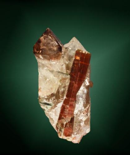 Liddicoatita
Anjanabonoina (pegmatita), Ambohimanambola, Betafo-Antsirabe (dist.), Antananarivo (prov.), Madagascar.
4,1 x 2,0 x 2,0 cm. / cristal: 3,2 x 0,6 x 0,5 cm. (Autor: Carles Curto)