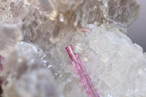 Rubelita de la Jonas Mine, Minas Gerais, Brasil. Tamaño de la pieza 5x5 cm. Tamaño del cristal 7 mm aprox. (Autor: Pep Gorgas)