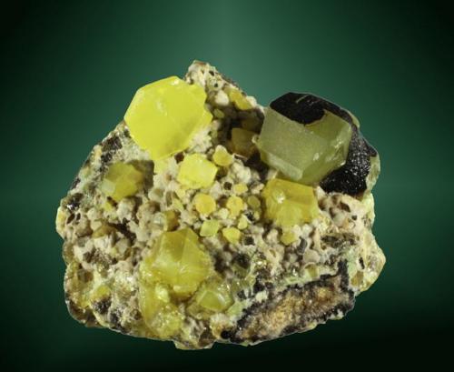 Azufre
Novafeltria, Pesaro-Urbino, Marche, Italia. Perticara (m).
Cristales equidimensionales parcialmente recubiertos por betún, en matriz bituminosa.
3,7 x 4,5 x 3,9 cm. (Autor: Carles Curto)