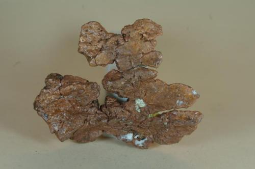Cobre nativo, Girilambone Copper, Girinlambone, Australia 46x35x5 (Autor: Juan María Pérez)