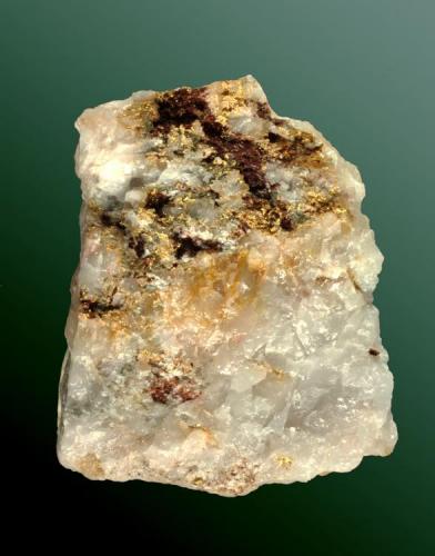 Oro
Barrancabermeja, Magdalena, Antioquía, Colombia.
Agregados esponjosos y microcristales ganchudos en fisuras de cuarzo masivo (ejemplar de 1970).
4,9 x 4,0 x 1,8 cm. (Autor: Carles Curto)