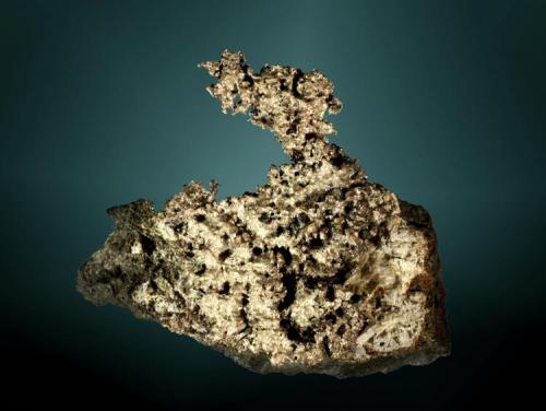 Plata (var. kongsbergita)
Imiter, Tinerhir, Azilal, Tadla-Azilal, Marruecos. Imiter (m).
Agregado dendrítico-esquelético en matriz (ejemplar de 1981).
6,4 x 5,0 x 7,7 cm. (Autor: Carles Curto)