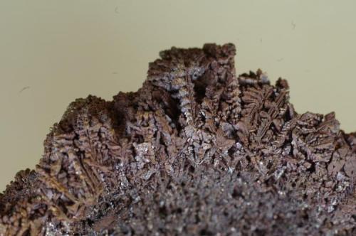Cobre nativo con Cuprita, Carn Brea Mine, Illogan, Cornualles, Inglaterra, Gran Bretaña 70x40x12. Detalle (Autor: Juan María Pérez)