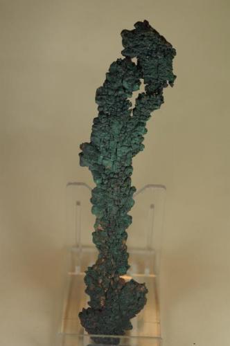 Cobre nativo, Ghestoof Mine, Mullion Island, Lizard, Cornualles, Inglaterra, Gran Bretaña 130x30x4 (Autor: Juan María Pérez)