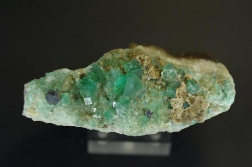 Fluorita con Galena, Heights Mine, Eastgate, Weardale, Co Durham, Inglaterra, Gran Bretaña 80x35x25 (Autor: Juan María Pérez)