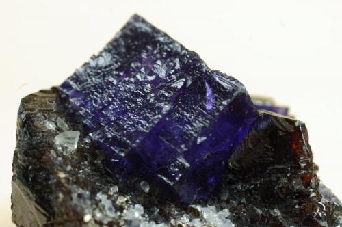 Fluorita con Esfalerita, Elmwood Mine, Tennessee, EEUU 60x55x55 mm (X=28x18x14) (Autor: Juan María Pérez)