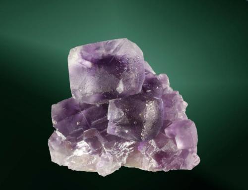 Fluorita
Caravia Baja, Caravia (concejo), Asturias. San Lino (m).
Agregado de cristales tetraexaédricos de color violeta profundo (ejemplar de 1980).
3,6 x 4,0 x 3,2 cm. (Autor: Carles Curto)