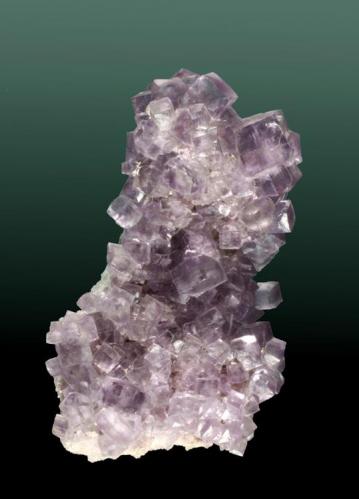 Fluorita
Caravia Baja, Caravia (concejo), Asturias. San Lino (m).
Agregado de cristales tetrahexaédricos de color violeta azulado (ejemplar de 1980).
6,9 x 4,6 x 3,6 cm. (Autor: Carles Curto)