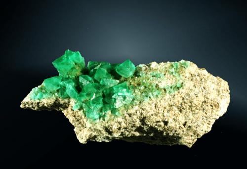 Fluorita
Sant Cugat del Vallès (El Papiol), Vallès Oriental, Barcelona, Cataluña. Berta (c).
Agregado de cristales octaédricos verdes sobre granito.
10,3 x 4,5 x 3,1 cm. (Autor: Carles Curto)