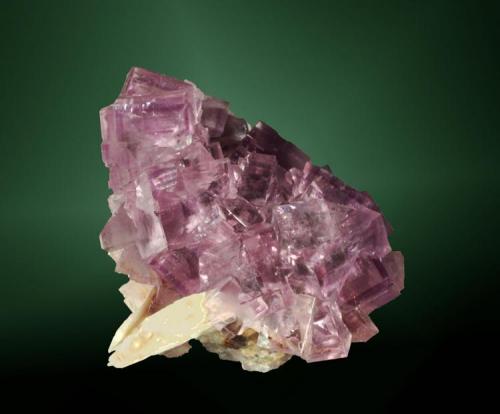 Fluorita
Berbes, Vega, Ribadesella, Asturias. La Cabaña (m).
Agregado de cristales cúbicos biselados, lilas, sobre barita blanca (ejemplar de 1991).
5,8 x 5,6 x 3,7 cm. (Autor: Carles Curto)