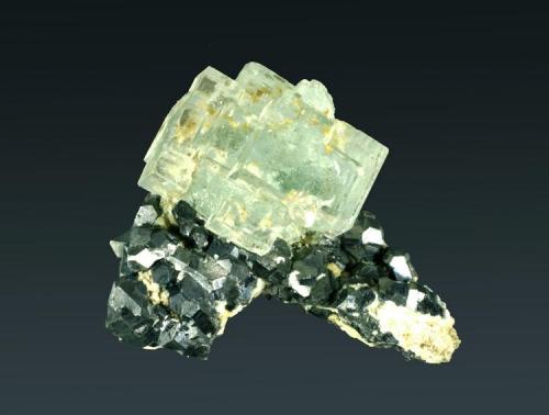 Fluorita
Naica, Saucillo, Chihuahua, México.
Gibraltar (m).
Cristales cúbicos de color verde claro, con zonación de color y en matriz recubierta de galena cuboctaèdrica (ejemplar de 1986).
5,5 x 6,8 x 4,9 cm. (Autor: Carles Curto)