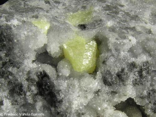 Azufre, calcita. La Lastra, Laredo (Cantabria). Cristal de azufre 1 x 0,8 cm. (Autor: Frederic Varela)