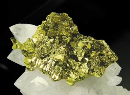 Calcopirita en Cuarzo
Mina Boldut, Cavnic, Maramures, Rumania
Encontrada en 2003
Tamaño de la pieza: 12.5 × 7.4 × 3.4 cm.
Tamaño del grupo de cristales de Calcopirita: 3.8 x 2 cm.
Foto: Minerales de Referencia (Autor: Jordi Fabre)