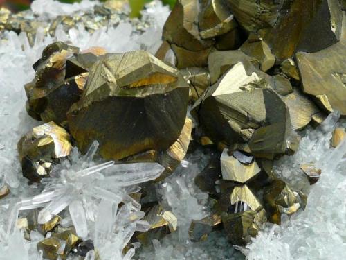 Calcopirita.
Madan, Rhodope Mts., Smolyan Oblast, Bulgaria.
14x9 cm (Autor: nerofis2)