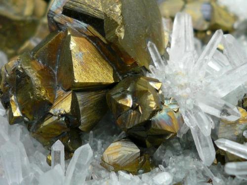 Calcopirita.
Madan, Rhodope Mts., Smolyan Oblast, Bulgaria.
14x9 cm (Autor: nerofis2)
