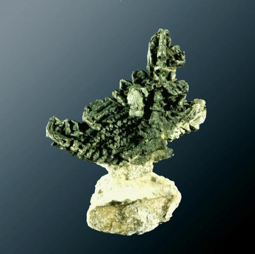 Marcasita
Samphire Hoe, Dover, Kent (county), Inglaterra, Reino Unido.
Agregado dendrítico de cristales maclados, en matriz de marga 8ejemplar de 1973).
4,0 x 4,5 x 2,0 cm. / agregado: 4,0 x 3,5 x 1,5 cm. (Autor: Carles Curto)