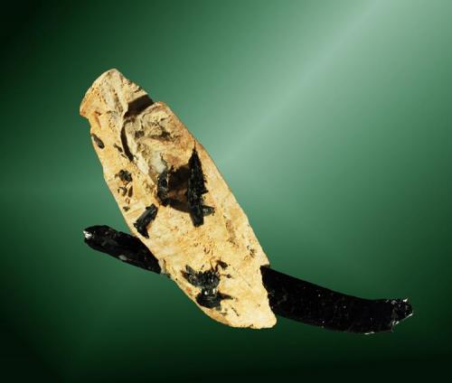 Parisita-(Ce)
Mount Malosa, Zomba, Chilwa, Sud Malawi, Malawi. 
Cristal biterminado, parcialmente pseudomórfico de cerianita-(Ce), con un cristal biterminado de aegirina (ejemplar de 2007).
3,5 x 6,0 x 2,3 cm. / cristal: 4,9 x 1,7 x 1,7 cm. (Autor: Carles Curto)