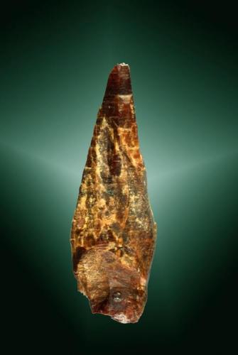 Parisita-(Ce)
South Tarkio, Mineral Co., Montana, EUA. Snowbird (m).
Cristal bipiramidal agudo deformado (ejemplar de 1982).
2,7 x 0,9 x 0,6 cm. (Autor: Carles Curto)