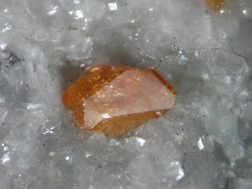 Monazita-(Ce). Cristal de 2 mm. procedente de la cantera de talco de Trimouns. Adquirido en Chamonix 2007. Col. Joan Rosell. (Autor: Joan Rosell)