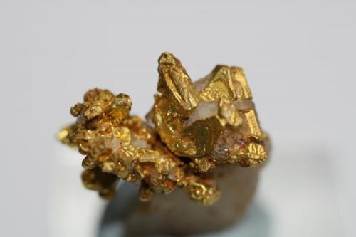 Oro nativo
Michigan Bluff, mining distric, placer County, California, USA
Unos 2 cm (Autor: Pep Gorgas)
