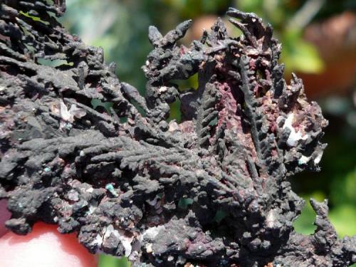 Cobre.
Broken Hill, Australia.
10x4 cm (Autor: nerofis2)
