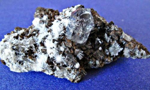Cuarzo (Cristal de Roca) sobre Siderita
Localidad: Minas de Cuarzo,  Taouz, Merzouga, Er Rachidia, Marruecos
Medidas: 6,5 x 4,3 x 2,8 cms. (Autor: Fritet79)