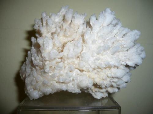 Aragonito coraloide
Santa Eulalia, Aquiles Serdán, Chihuahua, México
105x88x76mm
 (Autor: Carlos Medina)