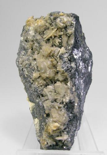 Cerusita maclada con Galena
Mina Raimunda, El Molar, El Priorat, Tarragona, Cataluña, España
Tamaño de la pieza: 7 × 3.6 × 5.1 cm. El cristal más grande mide: 0.7 × 0.2 cm.
Colección Folch duplicados
Leve fluorescencia con UV onda larga y corta
Foto: Minerales de Referencia (Autor: Jordi Fabre)