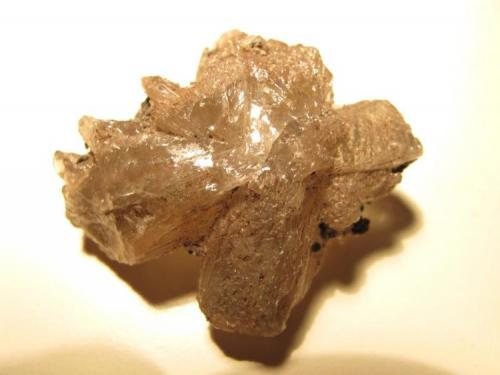 Cerusita
Tsumeb Mine, Tsumeb, Otjikoto region, Namibia
3,3 x 3,1 cm (Autor: Carles)