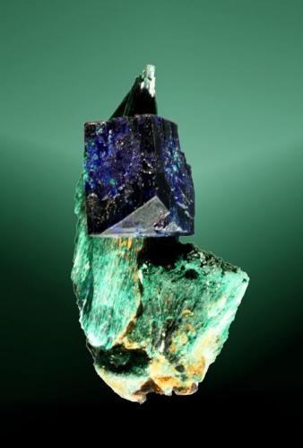 Azurita
Kerrouchen, Khenifra (prov.), Meknes-Tafilalt (wilaya), Marruecos.
3,4 x 1,8 x 1,4 cm. (ejemplar) / 1,0 x 1,0 x 0,6 cm. (cristal)
Cristal equidimensional formado por dos prismas, sobre un agregado en abanico de cristales aciculares de malaquita.
Ejemplar de 2003. (Autor: Carles Curto)