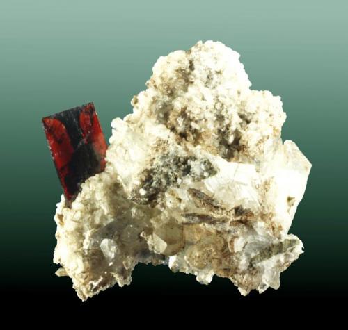 Brookita
Pashine, Kharan, Baluchistan, Pakistan. Ras-Koh.
4,0 x 4,5 x 4,3 cm. (ejemplar) / 1,6 x 0,9 x 0,1cm. (cristal)
Cristal prismático aplanado, transparente con inclusiones zonadas negras. En matriz con cuarzo y albita.
Ejemplar de 2009 (Autor: Carles Curto)