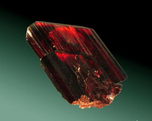 Brookita
Pashine, Kharan, Baluchistan, Pakistan. Ras-Koh.
3,5 x 1,9 x 0,3 cm.
Dos cristales sobrepuestos en paralelo, el mayor parcialmente biterminado, con transparencias de color rojo.
Ejemplar de 2005 (Autor: Carles Curto)